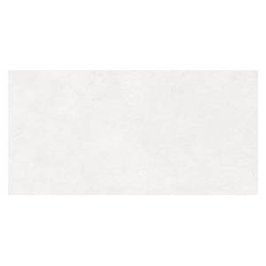 Керамогранит Laparet Evolution Blanco SG50001020R 59.5x119.1