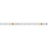 Светодиодная лента Arlight 4,8W/m 60LED/m 2835SMD теплый белый 5M 021414(2) фото 3
