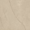 Керамогранит Lasselsberger Ceramics Полдень 6461-0417 песочный 60х60 фото 9
