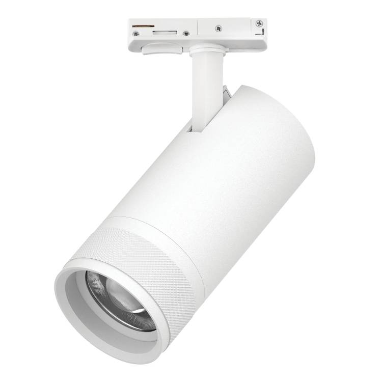 Трековый светодиодный светильник Lightstar Canno Pro C4306SS