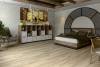 LVT Ламинат Damy Floor Family 2.5/43 4V 9531-2A Дуб Кавказский 1227x187 фото 3