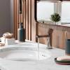 Смеситель для раковины Wasserkraft Naab 8603 хром фото 3