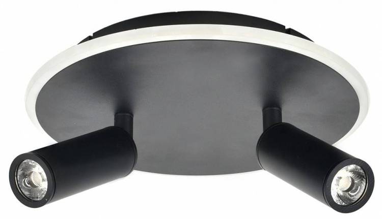 Потолочный светильник Escada 20046SMA/02LED BK