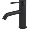 Смеситель для раковины Allen Brau Priority 5.31C01-31 черный матовый
