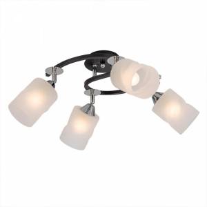 Потолочная люстра Citilux Сиерра CL119241 Черный