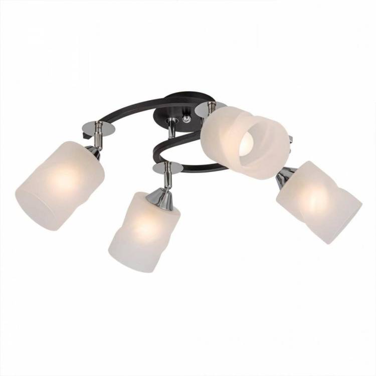 Потолочная люстра Citilux Сиерра CL119241 Черный