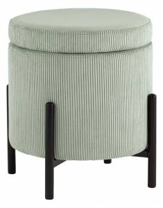 Пуф-сундук Stool Group Дали AV 482-V690/V14-08 бледно-зеленый