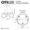 Люстра подвесная с пультом Citilux Python CL220263 фото 12