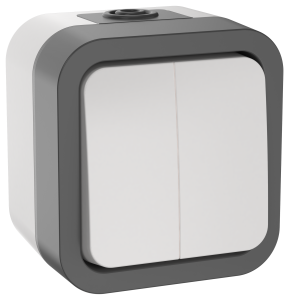 Выключатель 2-клавишный IEK Tors TS-V20-0-10-55-K41 белый