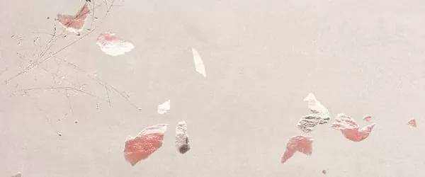 Керамическая плитка FAP Ceramiche Ylico fQWF Petals 50x120
