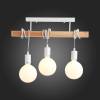 Потолочный светильник Evoluce Bagetti SL1142.503.03 фото 4