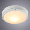 Уличный потолочный светильник Arte Lamp City A8154PF-2WH фото 2