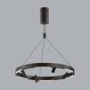 Подвесная люстра Odeon Light Beveren 6683/77L фото 2