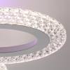 Потолочный светильник Lumion Clare 8018/60CL фото 7