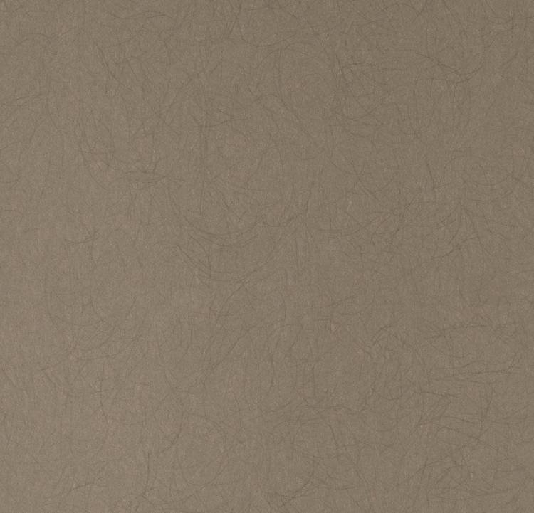Обои флизелиновые Bernardo Bartalucci Legend 5068-26