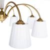 Потолочная люстра Arte Lamp Gracie A7301PL-8PB фото 4