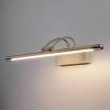 Подсветка для картин светодиодная Elektrostandard Simple MRL LED 10W 1011 IP20 3000К бронза