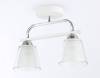 Потолочный светильник Ambrella light Traditional TR303229 фото 4