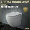 Унитаз подвесной Teymi Iva T40601 безободковый, с сиденьем микролифт, белый