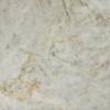 Керамогранит Bonaparte Porcelain Tile ELDA GOLD 60x60 фото 2