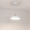 Подвесной светильник Arlight Elegant 033919_1 фото 2