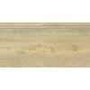 Ступень Grasaro Italian Wood G-251/SR/st01 20x60