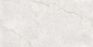 Керамогранит Ocean ceramic OC0000215 Infinity Venetian Blanco 60x120