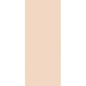 Керамическая плитка FAP Ceramiche True Color fTDW Talc Matt Rt 50x120