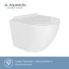 Комплект Aqueduto Tecnica Novo AQDSD003 унитаз подвесной, сиденье микролифт, кнопка золотая фото 4