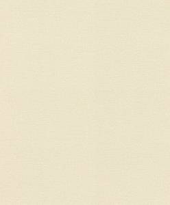Обои Rasch Natural Colors 555837