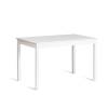 Набор обеденный Tetchair Хадсон 21334 white (белый) фото 2