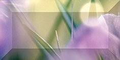 Бордюр Ceramica Classic Crocus br1020D286-1 10x20