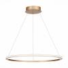 Подвесной светодиодный светильник ST Luce OUT ST604.243.34