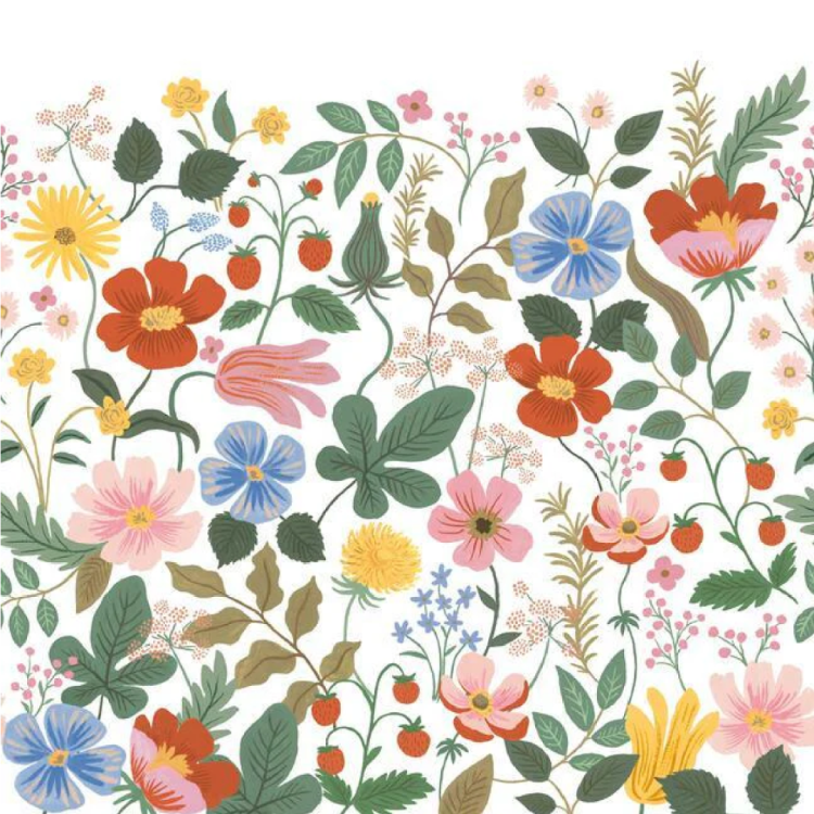 Панно York Collection Rifle Paper Co 3rd Edition RSW1334M