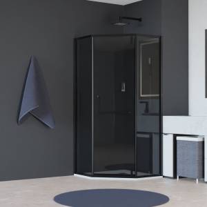 Душевой уголок RGW Hotel HO-084B 350608400-34 100x100x195 Стекло Тонированное