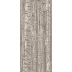 Декор Atlas Concorde Boost Pro A0LW Grove 120x278