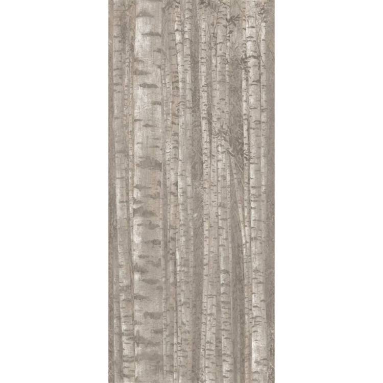 Декор Atlas Concorde Boost Pro A0LW Grove 120x278