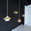 Подвесной светильник Imperium Loft Eco 178161-26 фото 12