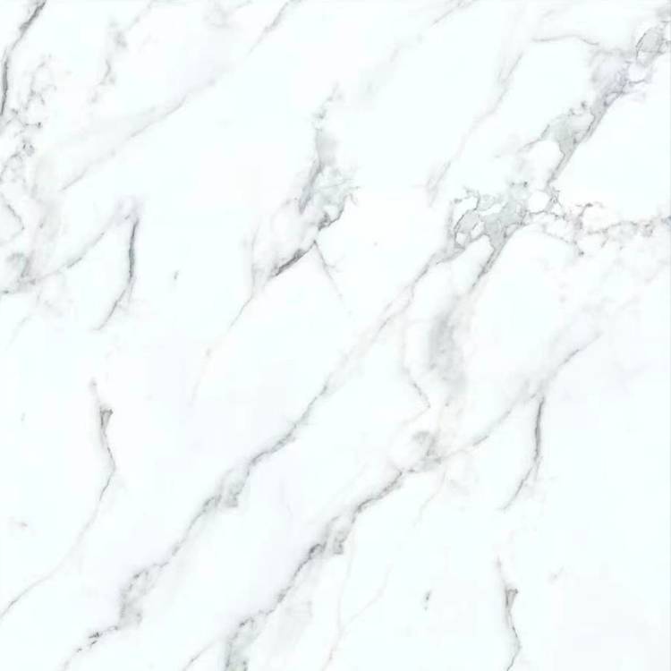 Керамогранит Рlanet Сeramics PL-Y83 80x80