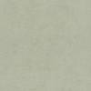 Обои Rasch Natural Colors 408171