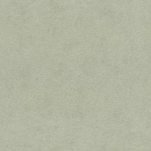 Обои Rasch Natural Colors 408171