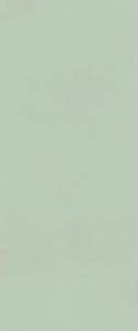 Керамическая плитка FAP Ceramiche True Color fTDV Matcha Matt RT 50x120
