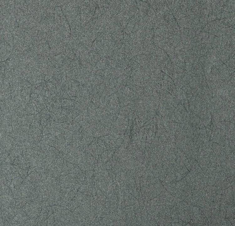 Обои флизелиновые Bernardo Bartalucci Legend 5068-89