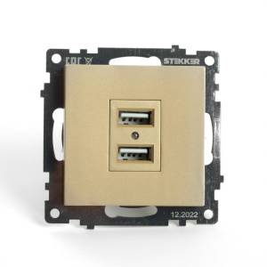 Розетка двойная с USB Stekker Катрин 49229