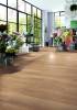 Ламинат Kronotex Exquisit Plus 8/32 4V D80272 Аванто Природный 1380x244 фото 4