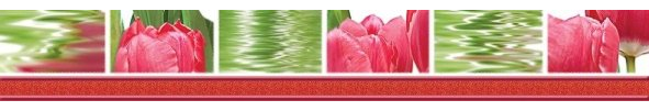 Бордюр Нефрит Керамика Фреш 05-01-1-77-05-47-160-0 Тюльпаны 7x50