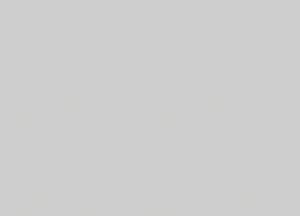 Обои Marburg Bloom 36374