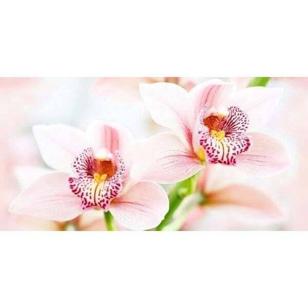 Панно Нефрит Керамика Меланж 45-04-11-440-0 (к-т 4 шт) 50x100