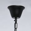 Подвесная люстра MW-Light Гослар 498014806 фото 3