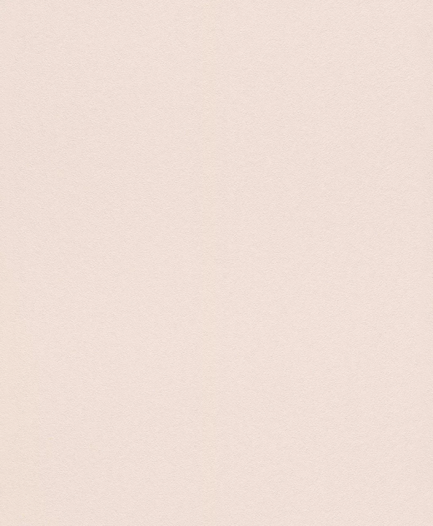 Обои Rasch Modern Art 610628